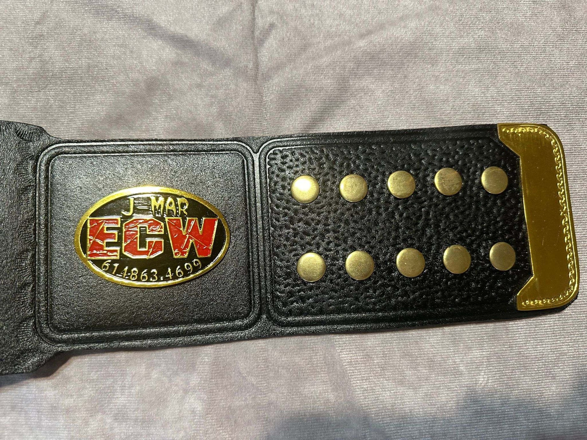 JNJ Collectibles WWE Authentic Wear ECW World Heavyweight Championship Mini Replica Title Belt Multi